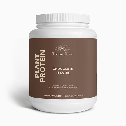 Plant Protein (Chocolate)